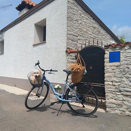 Authentic Istria&Pet Friendly Apartment Banko Near Rovinj Kanfanar Luaran gambar