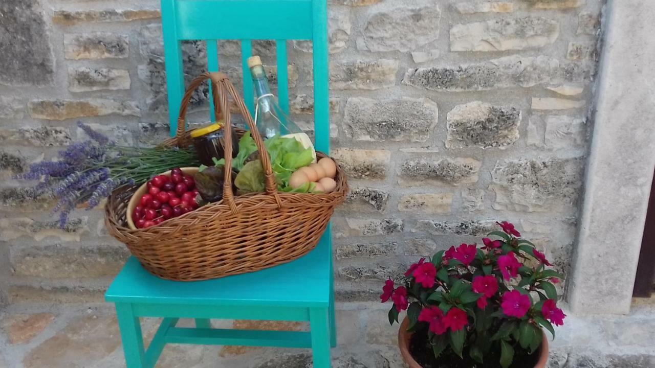 Authentic Istria&Pet Friendly Apartment Banko Near Rovinj Kanfanar Luaran gambar
