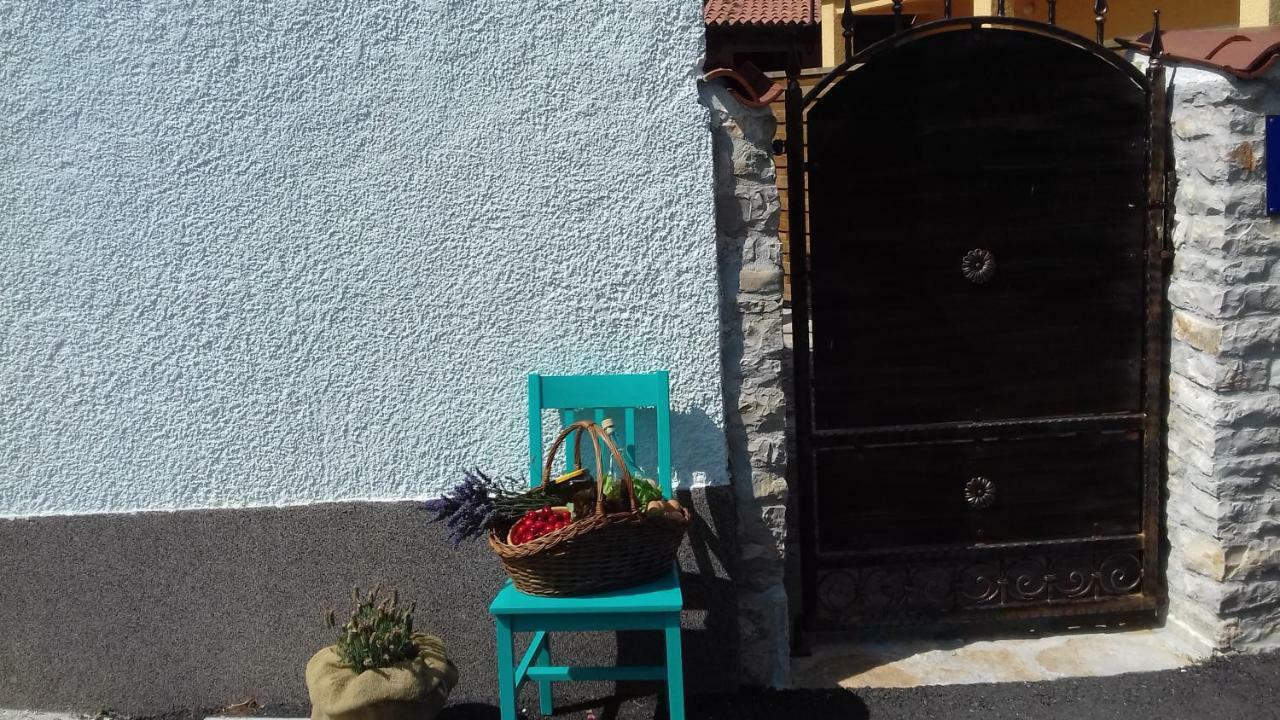 Authentic Istria&Pet Friendly Apartment Banko Near Rovinj Kanfanar Luaran gambar